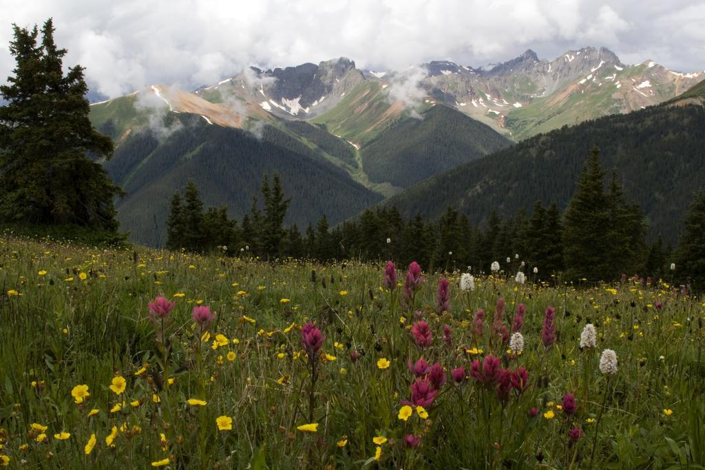 Ouray Chalet Inn Екстер'єр фото